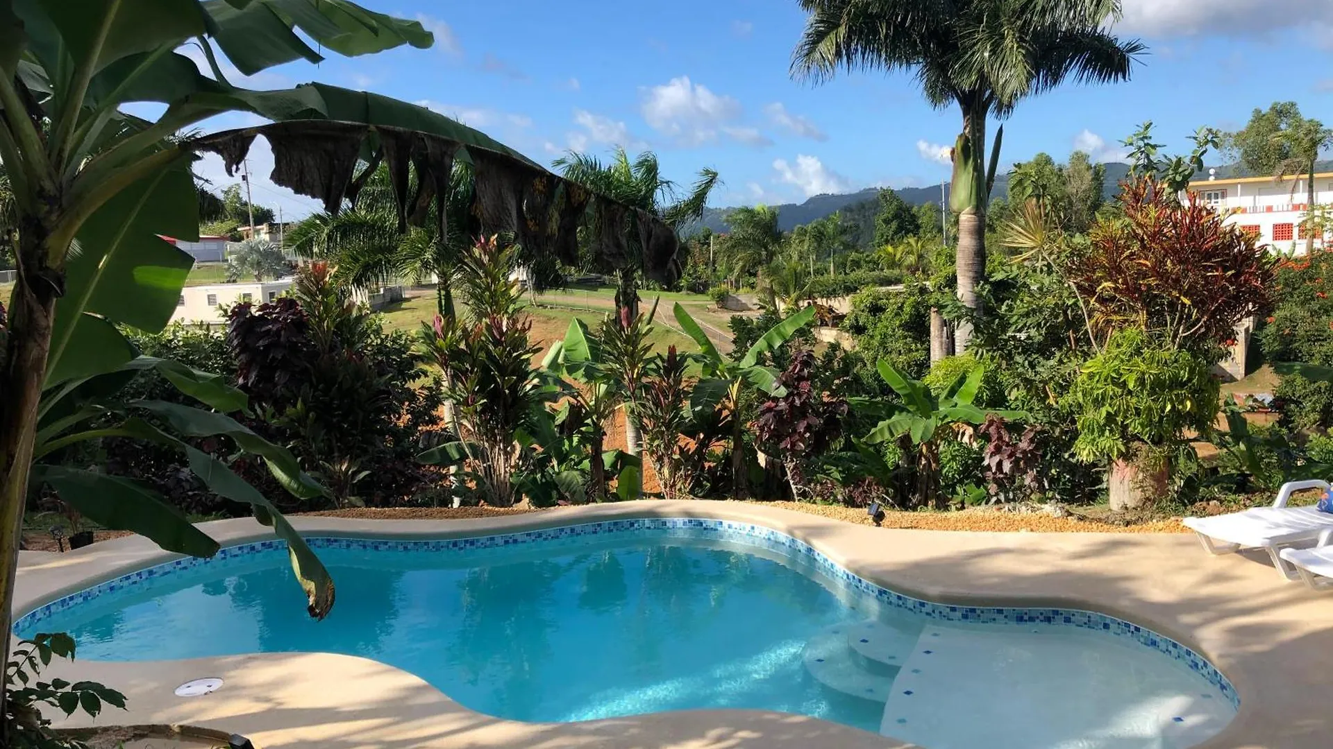 Hacienda Rose Tropical Paradise Juncos
