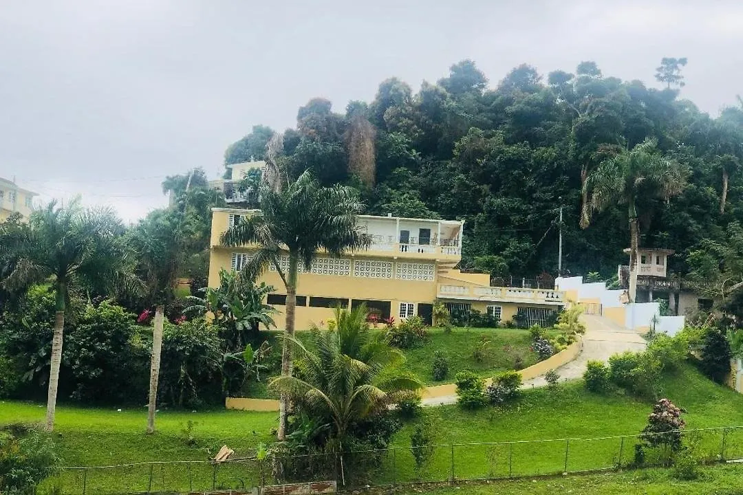 Hacienda Rose Tropical Paradise Juncos